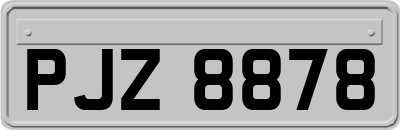 PJZ8878