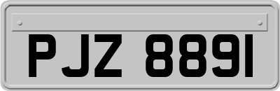 PJZ8891