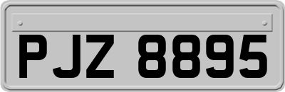 PJZ8895