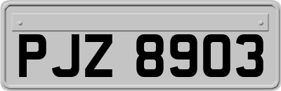 PJZ8903