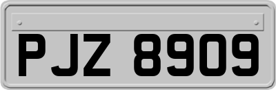 PJZ8909