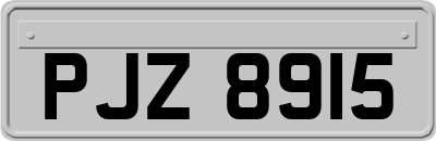 PJZ8915