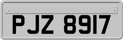 PJZ8917