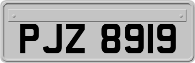 PJZ8919