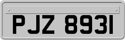 PJZ8931