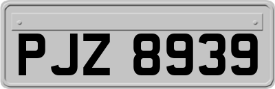 PJZ8939