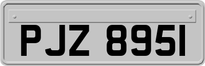 PJZ8951