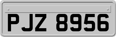 PJZ8956