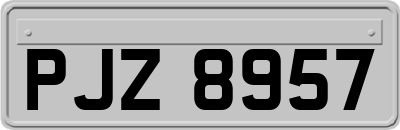 PJZ8957