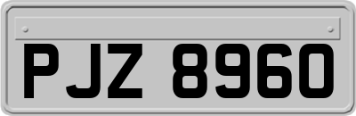 PJZ8960