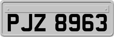 PJZ8963