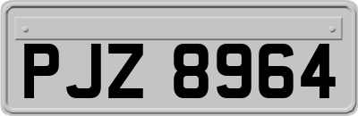 PJZ8964