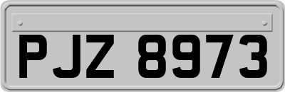 PJZ8973