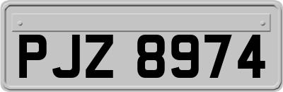 PJZ8974