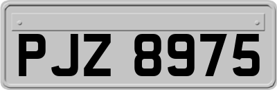 PJZ8975