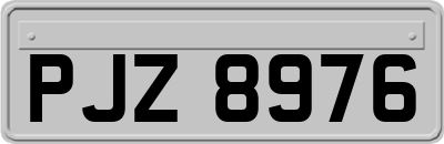 PJZ8976
