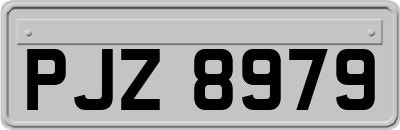 PJZ8979