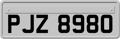 PJZ8980