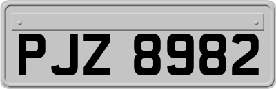 PJZ8982