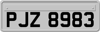 PJZ8983