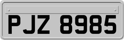 PJZ8985