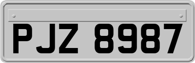 PJZ8987