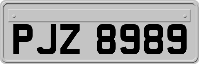 PJZ8989