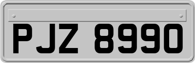 PJZ8990