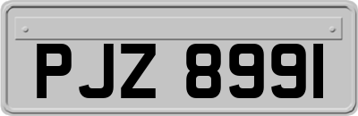 PJZ8991