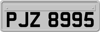 PJZ8995