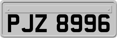 PJZ8996