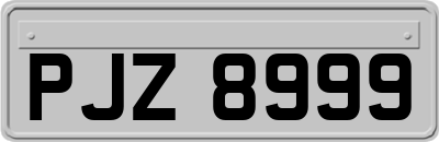 PJZ8999