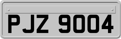 PJZ9004
