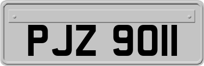 PJZ9011