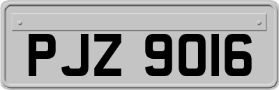 PJZ9016