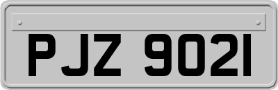 PJZ9021
