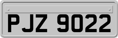 PJZ9022