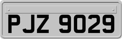 PJZ9029