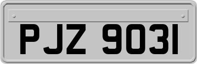 PJZ9031