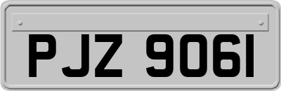 PJZ9061
