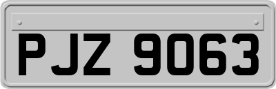 PJZ9063