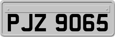 PJZ9065