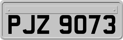 PJZ9073