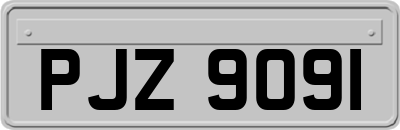 PJZ9091