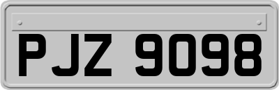 PJZ9098