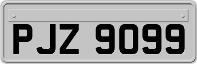 PJZ9099