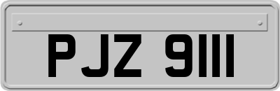 PJZ9111
