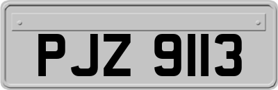 PJZ9113
