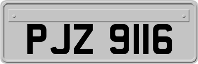PJZ9116