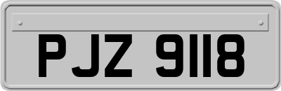 PJZ9118